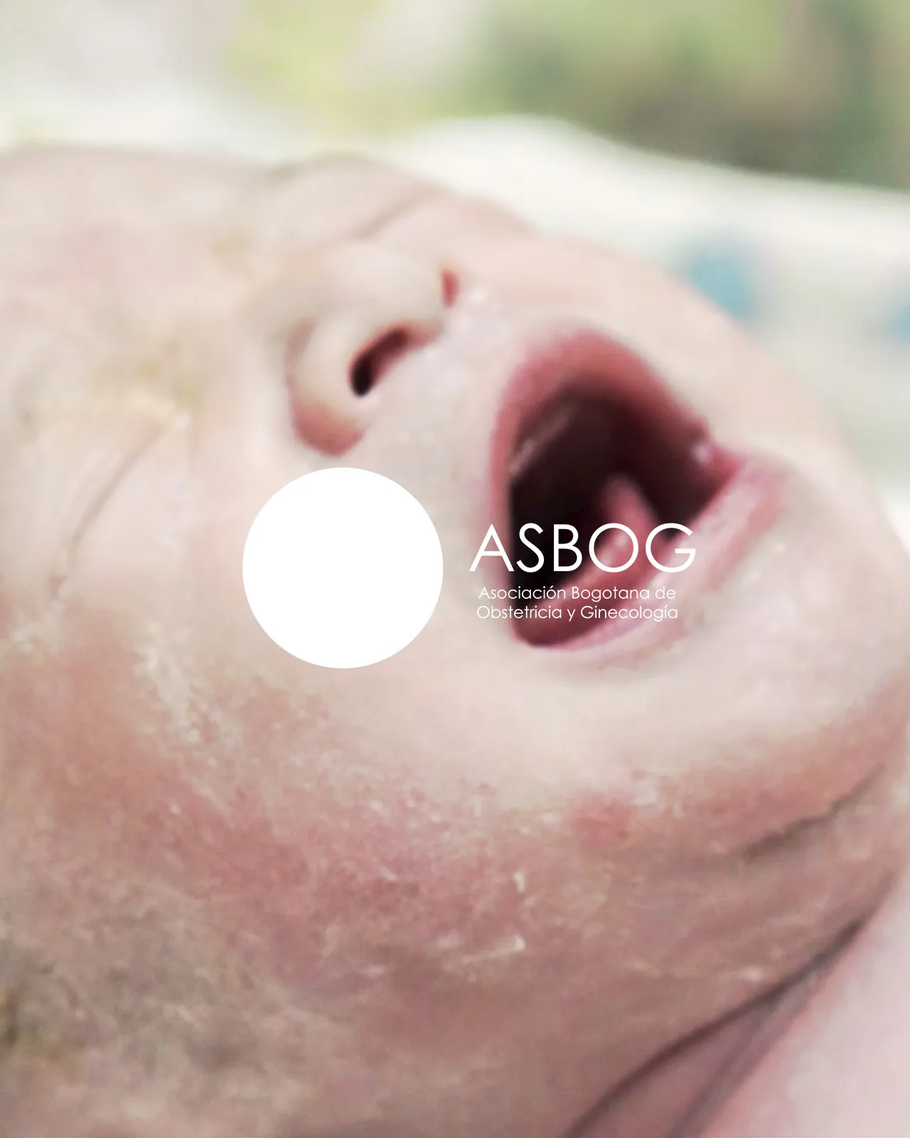 ASBOG